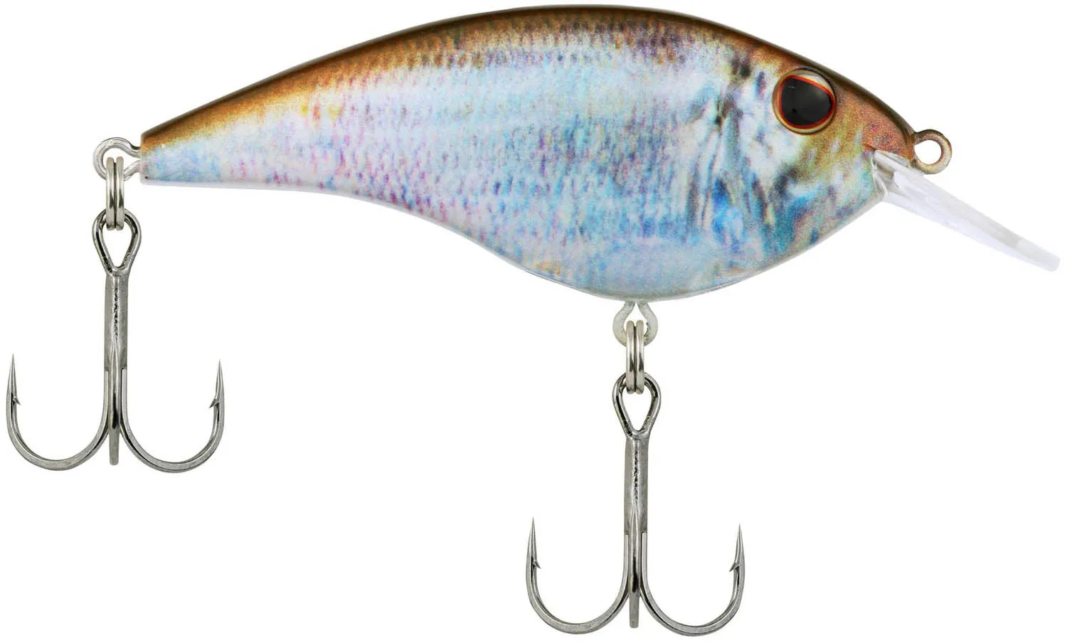 Berkley Frittside Shallow Diving Flat Sided Crankbait