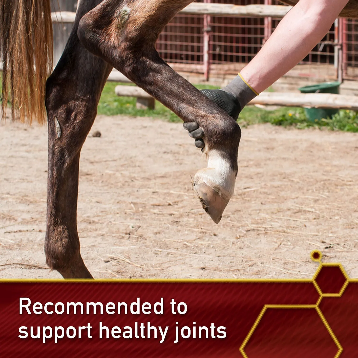 Vita Flex Pro Master's Hoof Blend Formula