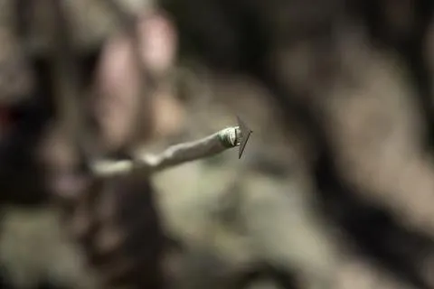 Wilderness Survival Card 2.0